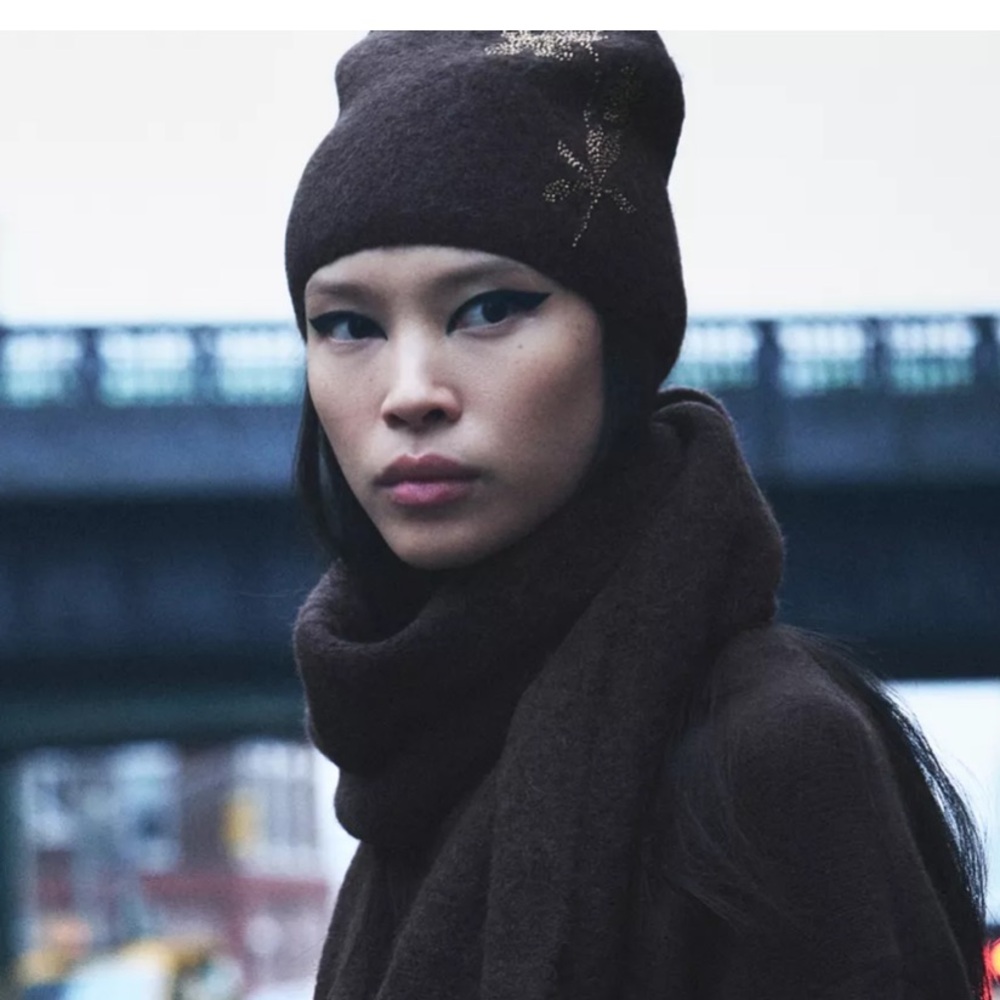 Zara Cozy Brown wool hat